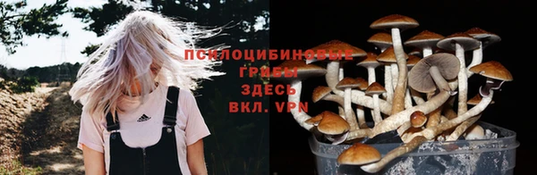 PSILOCYBIN Верхнеуральск